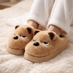 Plush Dog Slippers | Cozy Warm Indoor House Shoes (Brown, Grey) | SoftSlipsy